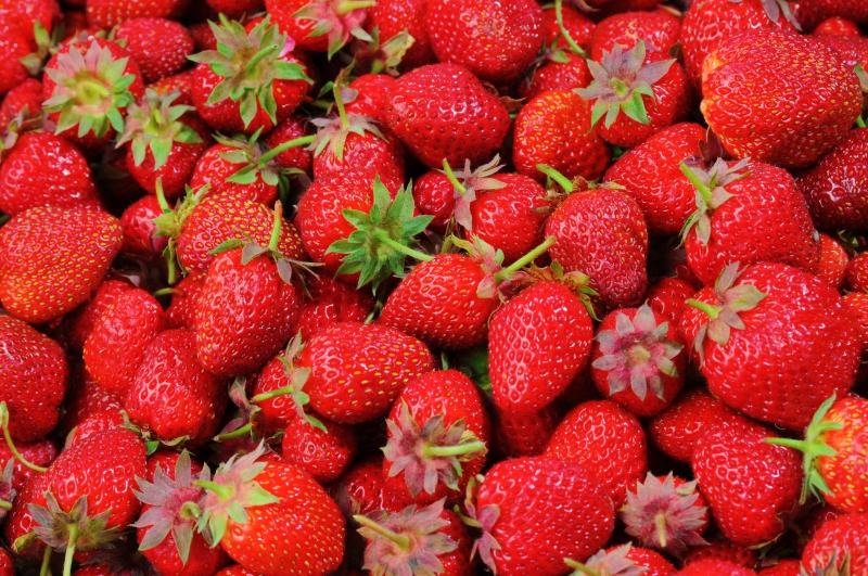 primeur-AMIRAT-min_strawberries-528791